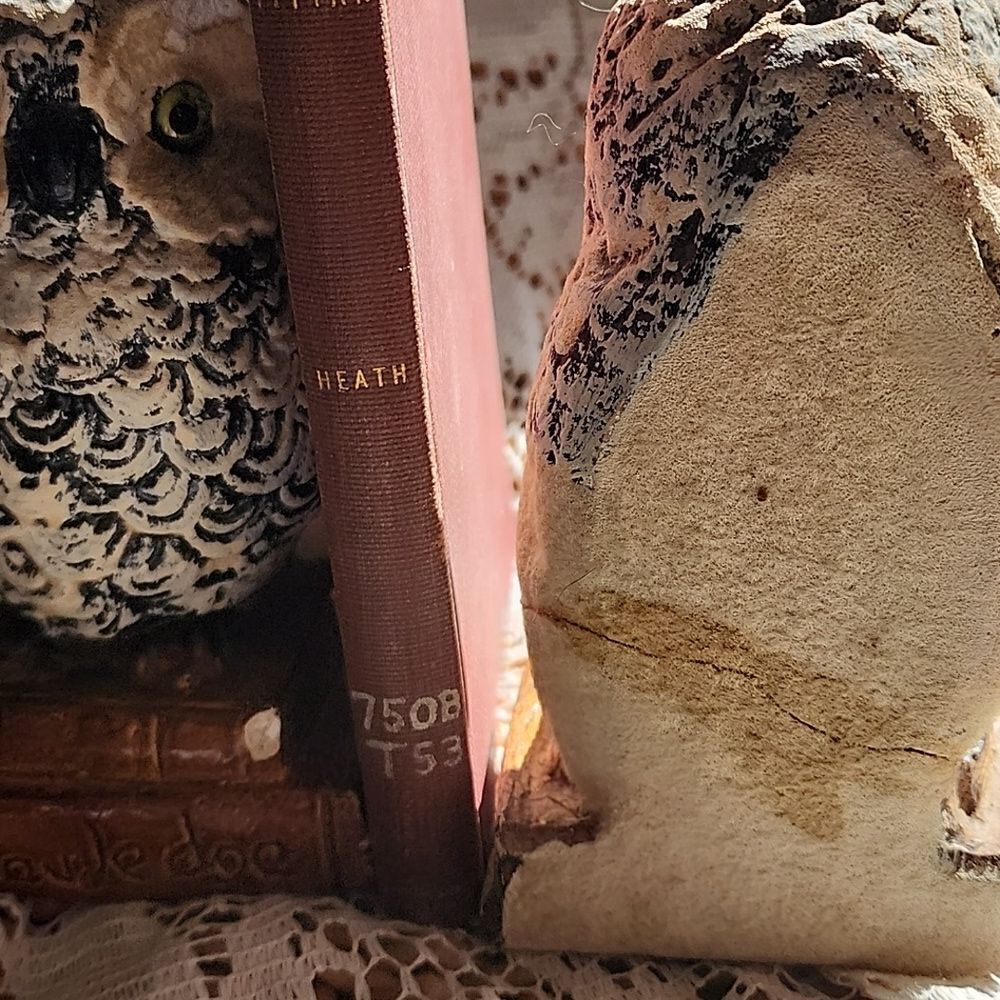 Chippy Chalkware Knowledge Owl Bookends - Picture 6 of 13